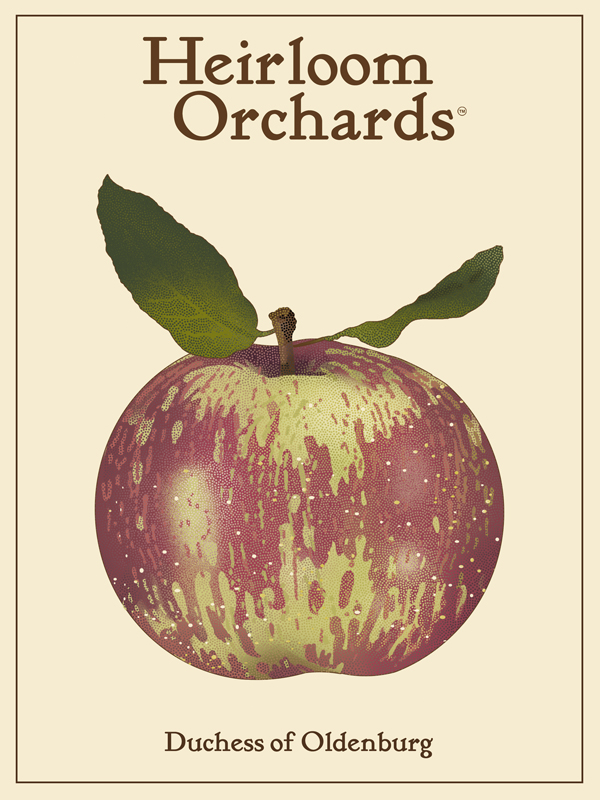 Duchess of Oldenburg