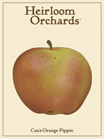 Cox's Orange Pippin