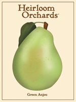 Green Anjou