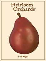 Red Anjou