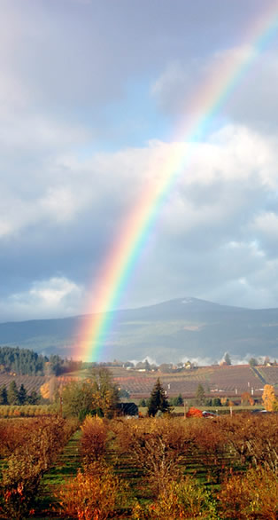 Heirloom Orchards Farm